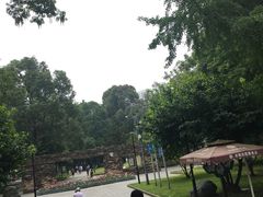 -温江公园