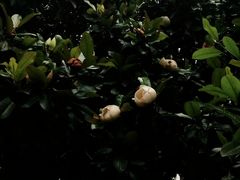 -常州古运河南大街文化旅游区-人民公园