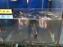 -胖大嫂渔家排档(半边山店)