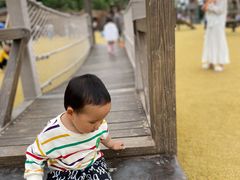 -枫香湖儿童公园