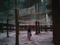 -武陵山森林公园