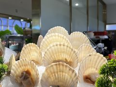 -鹿客·臻鲜海鲜自助餐厅(新塘万达广场店)