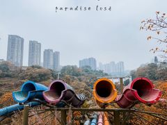 -重庆国际马戏城