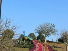 -东莞植物园
