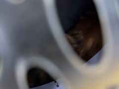 -芭比堂动物医院(广州爱宠下渡路分院)