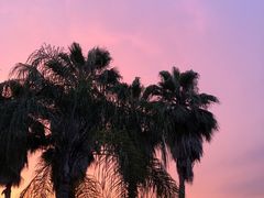 -福建鲤鱼洲酒店