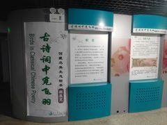 -吉林省自然博物馆
