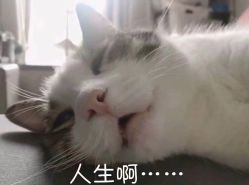 -星耀美业·品质网购