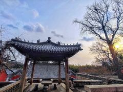 -泰山风景名胜区-普照寺