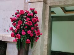 -陶然居·重庆菜(鱼洞老街店)