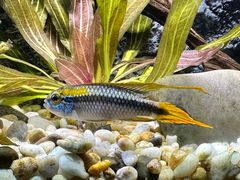 -上海海洋水族馆