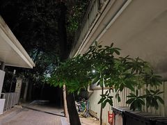 -人民公园(罗湖区)