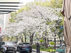 -玛格萝妮比萨屋(四平店)
