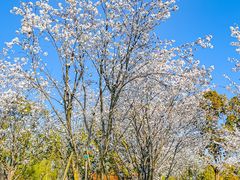 -上海野生动物园