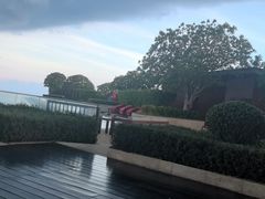 -瑰丽酒店·海吧·天际下午茶·现场DJ·天台酒吧