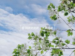 -四川大学(望江校区)