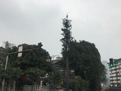 -磁器口古镇