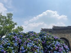 -无锡蠡湖国家湿地公园-蠡园