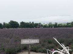 -富田农场