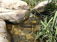 -碓臼峪自然风景区