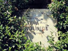 -The Grounds of Alexandria