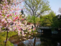 -水绘园