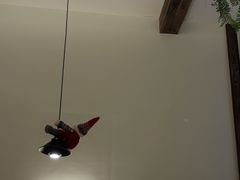 -万州大虾(五桥店)