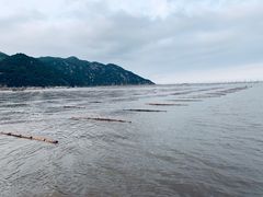 -北岐滩涂