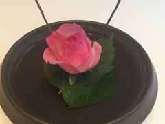 -福1015(愚园路店)
