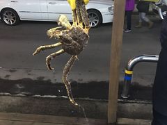 -真情鲍鱼海鲜汤