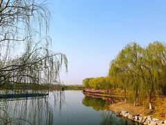 -大兴滨河森林公园