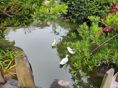 -观澜山水田园