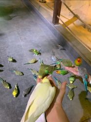 -酷嗒动物文化乐园(cutezoo西溪乐天城店)