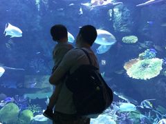 -暹罗海洋世界
