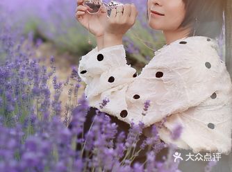 穿衣指南     白色首选，紫色切记不能配红色和黄色
