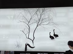 -BLACKSWAN黑天鹅(环球店)