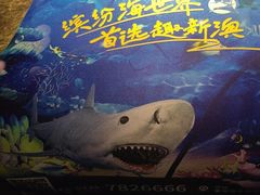 -秦皇岛新澳海底世界