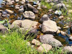 -白塘生态植物园