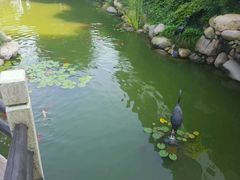 -南北湖湖光山居度假酒店