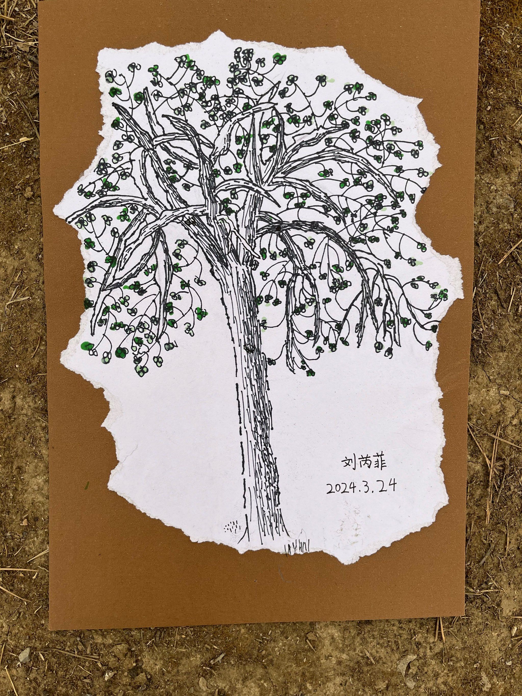 画树 儿童创意美术作品