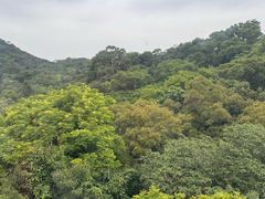 -盆满钵满·国家非遗传承(云台店)