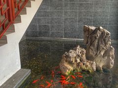 -苏州冶园园林民宿(太湖西山风景区店)