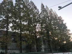 -中国医学科学院皮肤病医院