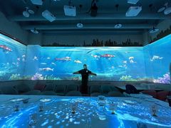 -森林象亲子餐厅·儿童生日会