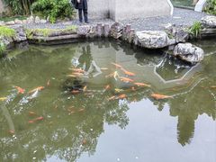 -中山公园