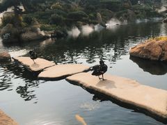 -罗红摄影艺术馆