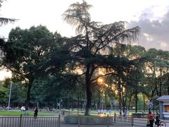 -四川大学(望江校区)