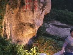 -厦门悦华酒店