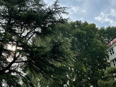 -河南省黄河迎宾馆