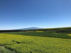 -扁都口生态休闲旅游区